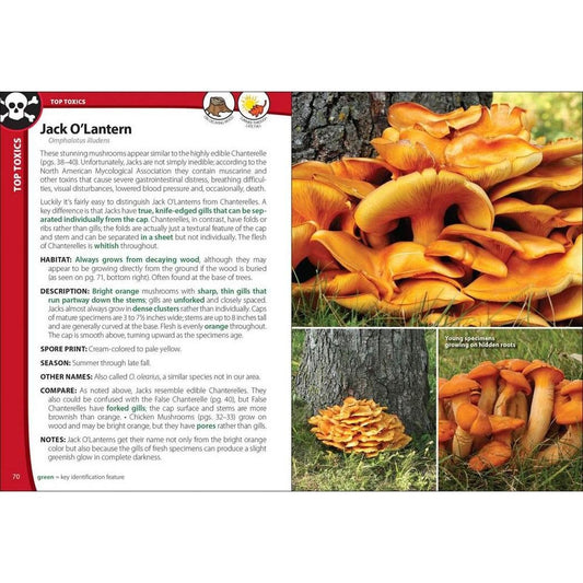 AdventureKEEN Mushrooms of the Northeast-Books - Books-Appalachian Outfitters