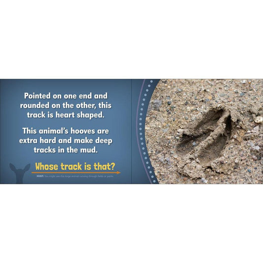 AdventureKEEN Whose Track Is That?-Books - Books-Appalachian Outfitters