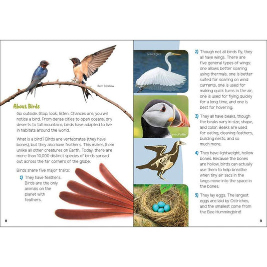 A book titled "Backyard Birding for Kids" open to a page showing bird illustrations and text about birds.