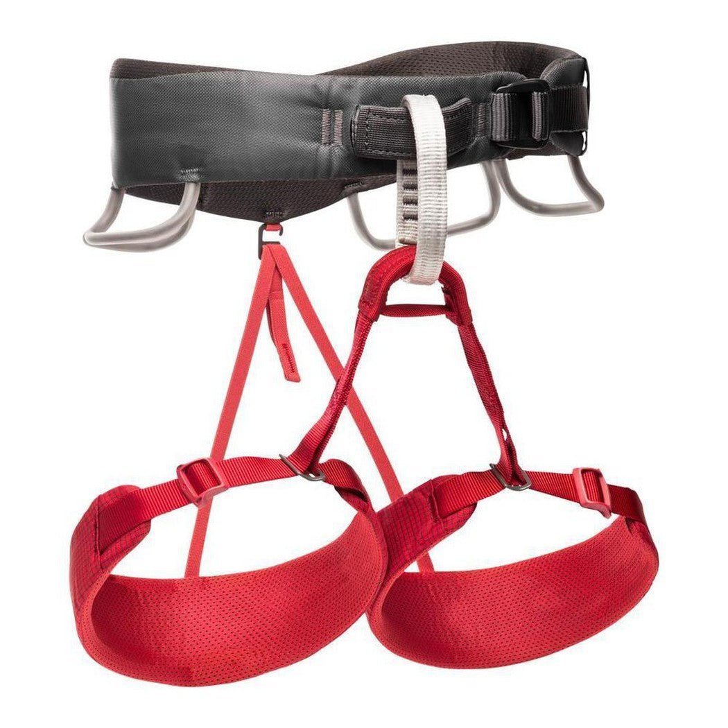 Black Diamond Momentum Harness - Women's-Climbing - Harnesses - Women's-Wild Rose-XS-Appalachian Outfitters