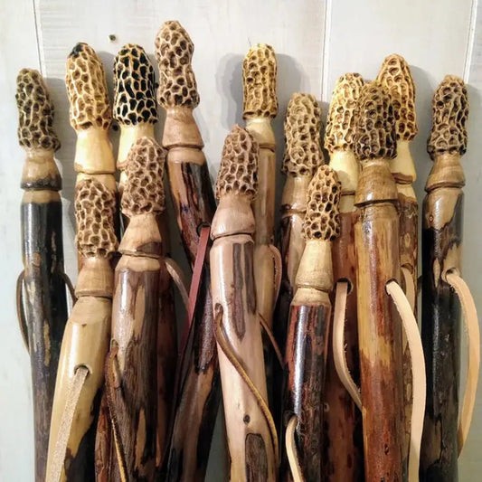 Creation Carvings Walking Stick with Morel Mushroom Carving-Camping - Trekking Poles - Walking Sticks-Appalachian Outfitters