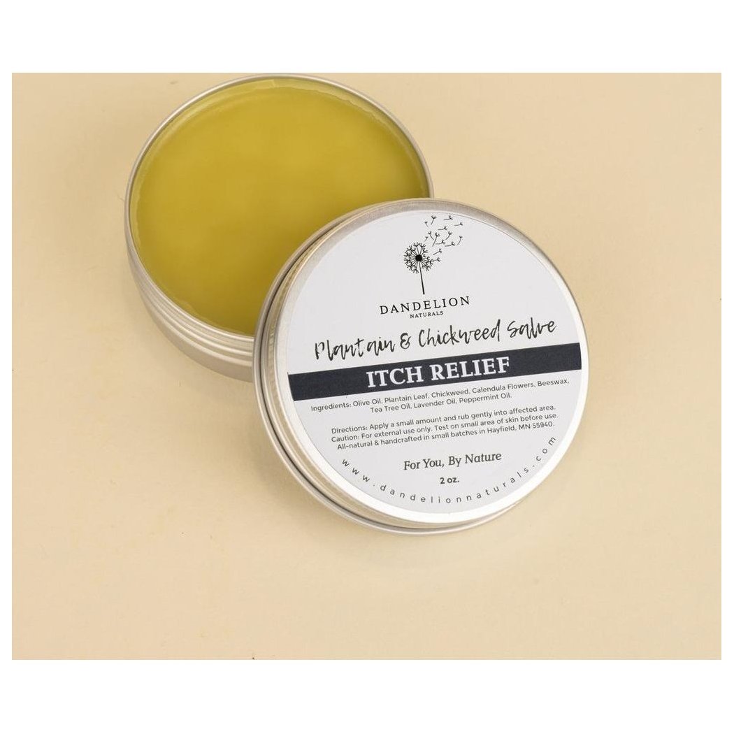 Dandelion Naturals Itch Relief Salve with Chickweed, Plantain, Calendula-Camping - First Aid - Skin Care-Appalachian Outfitters