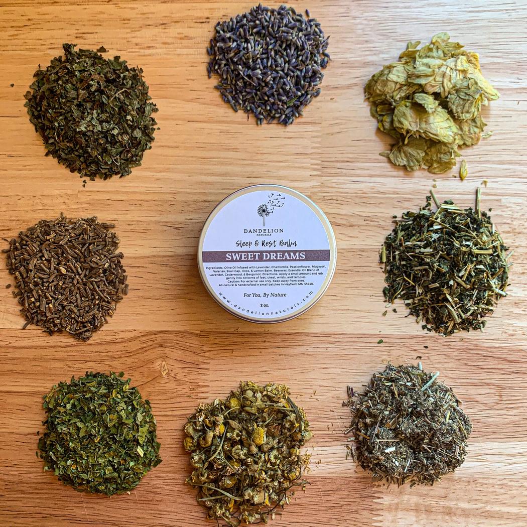 Dandelion Naturals Sweet Dreams Balm for Sleep Aid-Camping - First Aid - Skin Care-Appalachian Outfitters