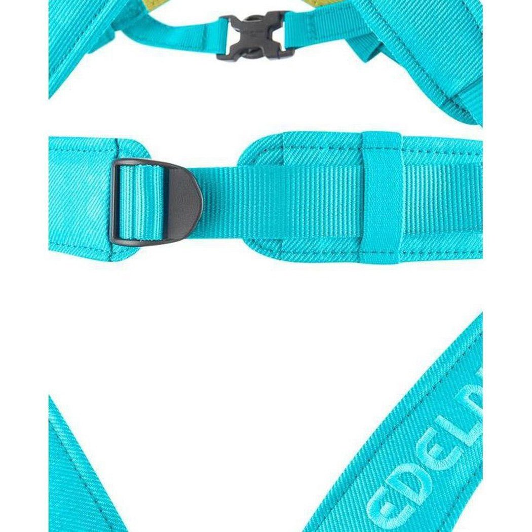 Edelrid Fraggle III-Climbing - Harnesses - Kids'-Appalachian Outfitters
