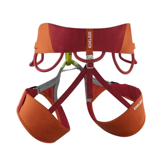 The Edelrid Jay IV climbing harness in Hokkaido color is shown from a front angle with a white background.