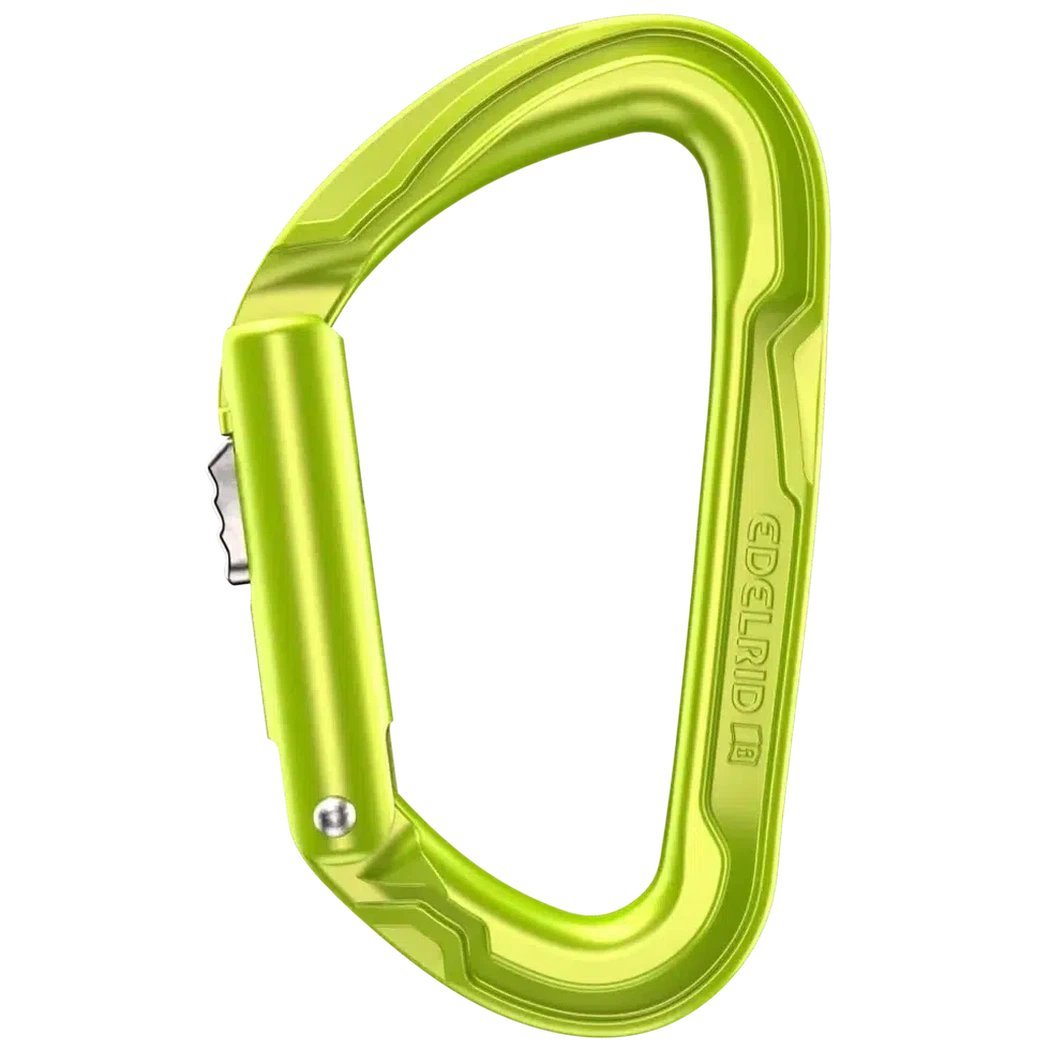 Side view of the Edelrid Pure Slider III carabiner in Oasis color showing the locking mechanism and brand name on the side against a white background.