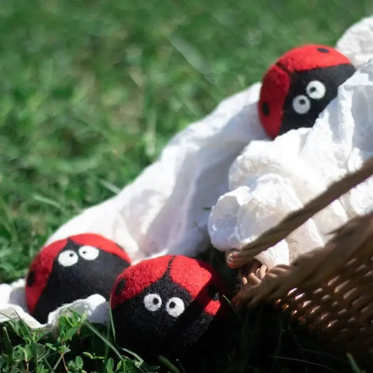 Friendsheep Ladybug Trio Eco Wool Dryer Balls-Accessories - Novelty-Appalachian Outfitters