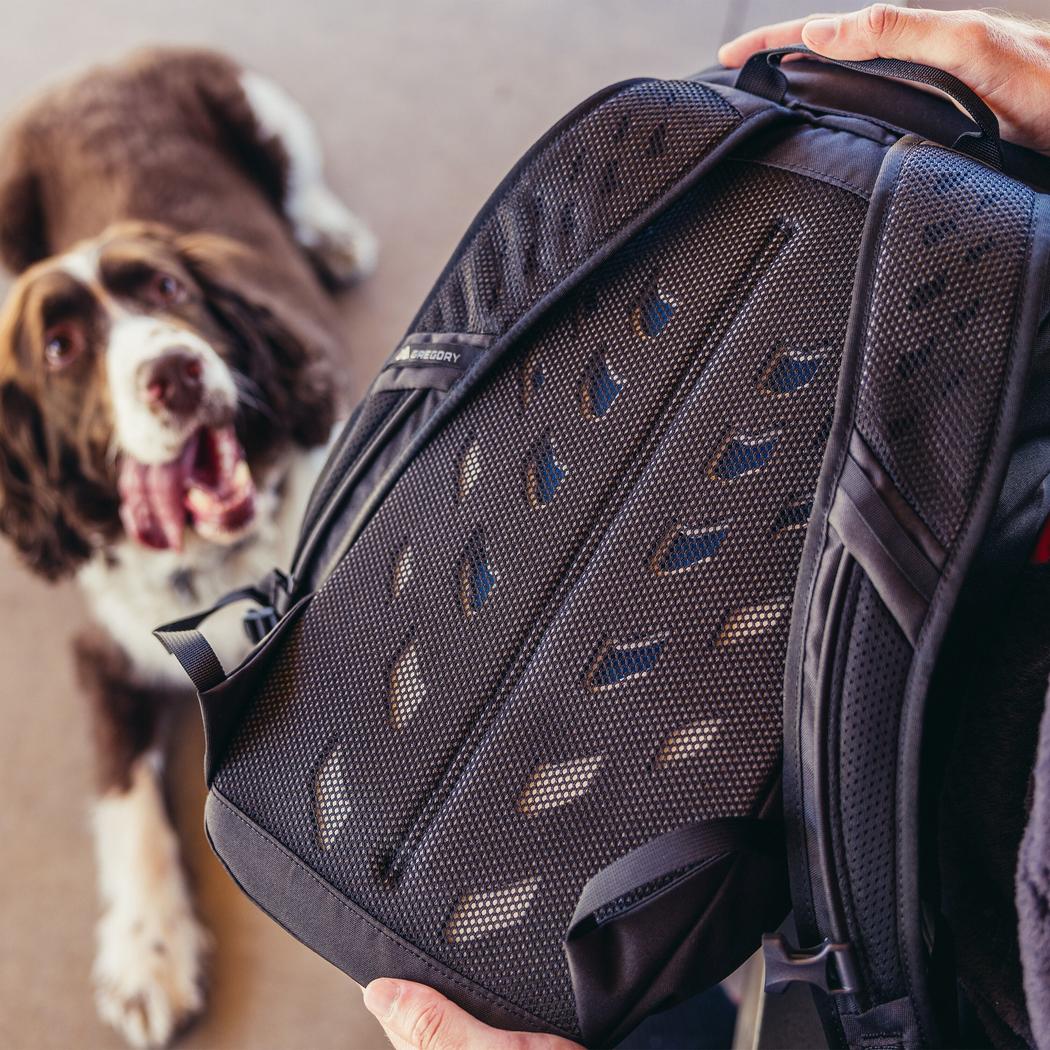 A person holds the Gregory Nano 16 daypack in Moab Tan, showing its mesh back panel, with a brown and white dog in the background.