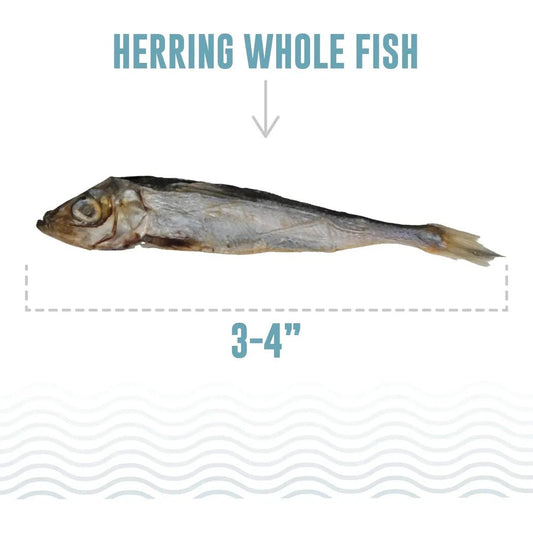 Icelandic+ Herring Whole Fish Dog Treats | 3-oz Bag-Pets - Treats-Appalachian Outfitters