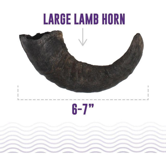 Icelandic+ Large Lamb Horn Dog Treat-Pets - Treats-Appalachian Outfitters