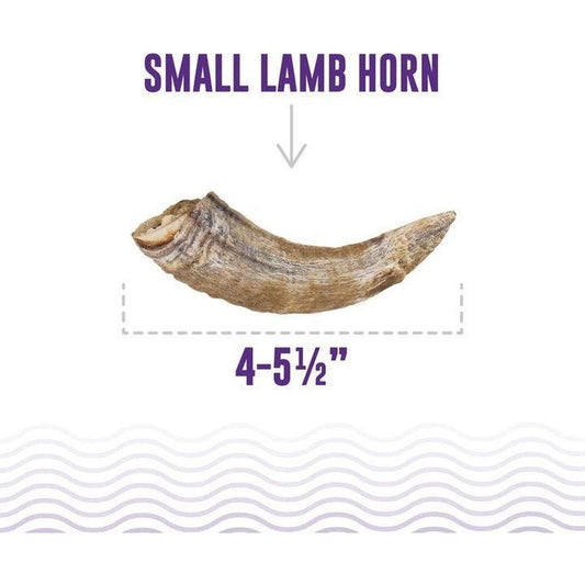 Icelandic+ Small Lamb Horn with Marrow-Pets - Treats-Appalachian Outfitters