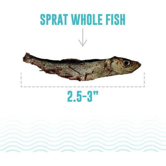 Icelandic+ Sprat Whole Fish Dog Treats-Pets - Treats-Appalachian Outfitters