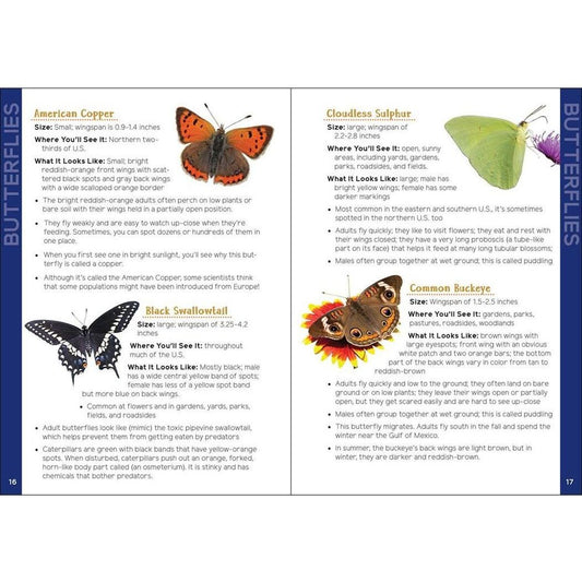 Two pages of a book titled "Insects & Bugs for Kids" show colorful butterfly photos with descriptions.