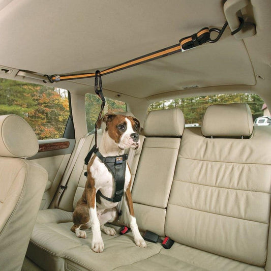 Kurgo Auto Zip Line with Leash/tether-Pets - Travel - Car Accessories-Appalachian Outfitters
