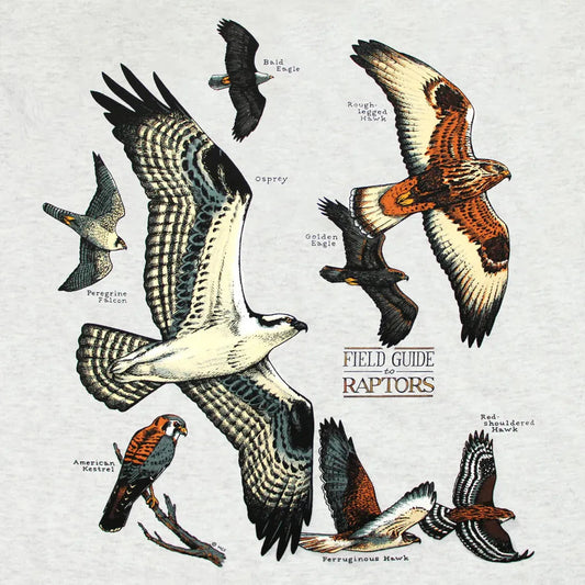 Liberty Graphics Field Guide To Raptors Short Sleeve T-Unisex - Clothing - Tops-Appalachian Outfitters