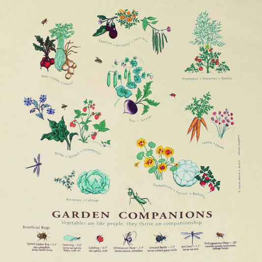A flat lay of the Liberty Graphics Garden Companions Short Sleeve T in Natural showing the garden-themed print and a light background.