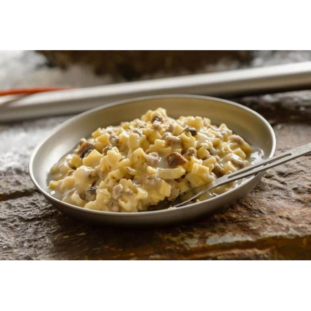 A bowl of Mountain House Beef Stroganoff sits on a rocky surface with a spoon in it.