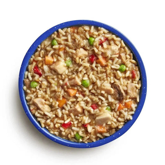 Mountain House Chicken Teriyaki with Rice-Food - Backpacking-Appalachian Outfitters