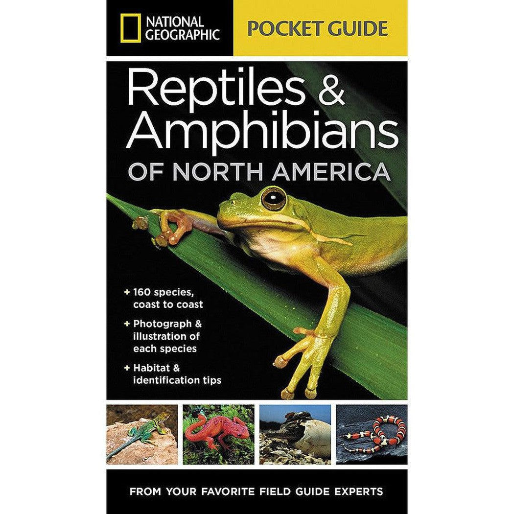 National Geographic Pocket Guide Reptiles & Amphibians of N.A.-Books - Books-Appalachian Outfitters