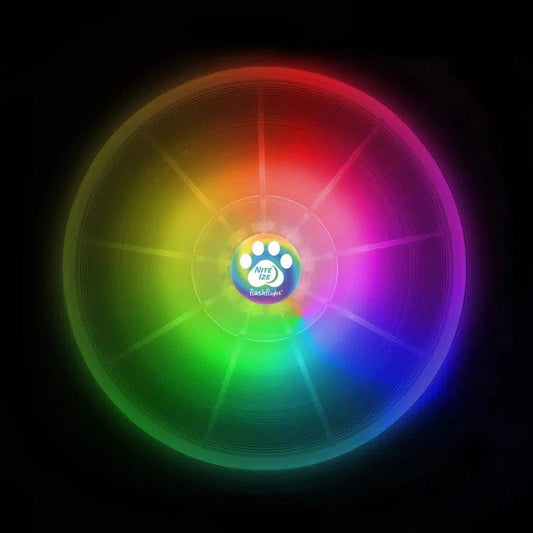 Nite Ize Flashflight Dog Discuit LED Flying Disc - Disc-O-Pets - Safety - Lights-Appalachian Outfitters