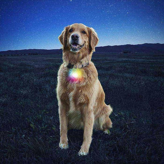 Nite Ize Spotlit Collar Light-Pets - Safety - Lights-Appalachian Outfitters