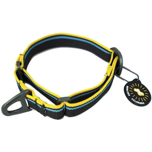 A side view of the Olly Dog Martingale Mesa collar in Anthracite with a black plastic buckle and a tag against a white background.