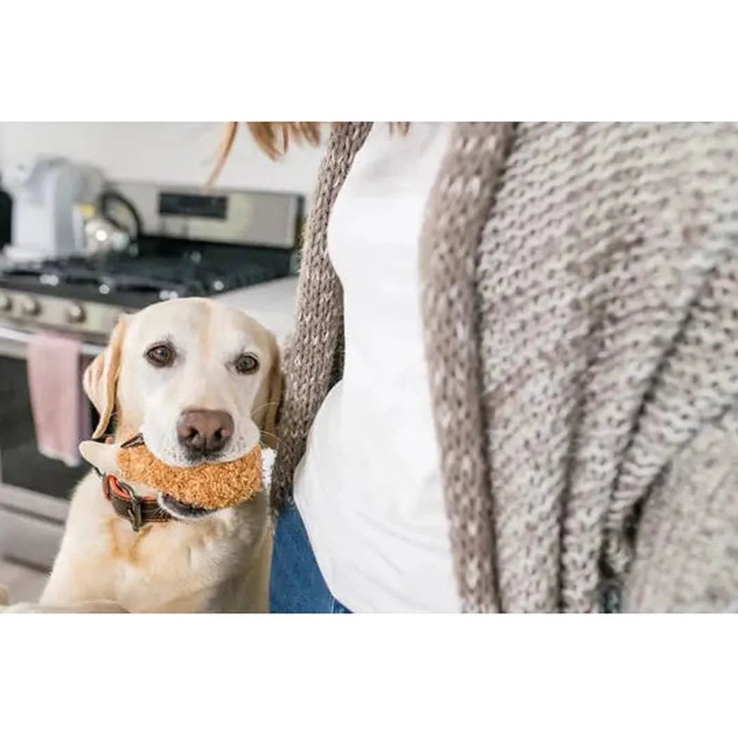 A yellow lab holds a P.L.A.Y American Classic Fluffy's Fried Chicken toy in its mouth while standing next to a person in a kitchen.