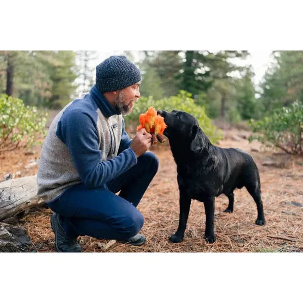 A man crouches in a forest with a black dog sniffing orange toys, wearing the P.L.A.Y Camp Corbin Cozy Campfire.