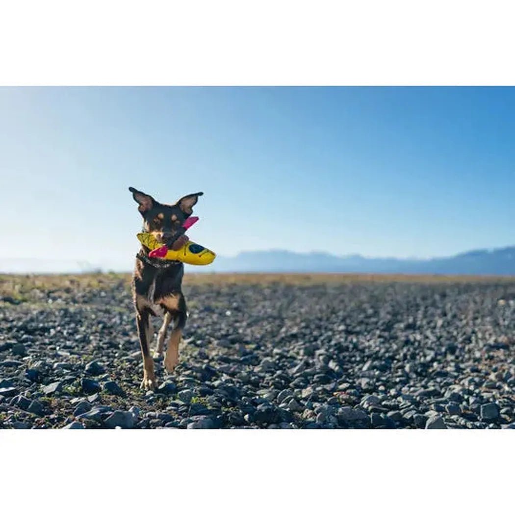 P.L.A.Y Camp Corbin K9 Kayak-Pets - Toys-Appalachian Outfitters