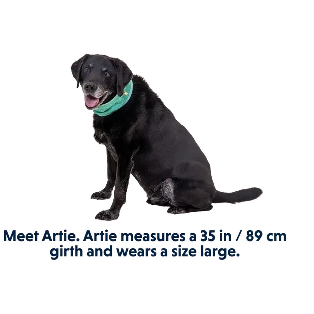 Ruffwear Swamp Cooler Neck Gaiter-Pets - Collars-Appalachian Outfitters