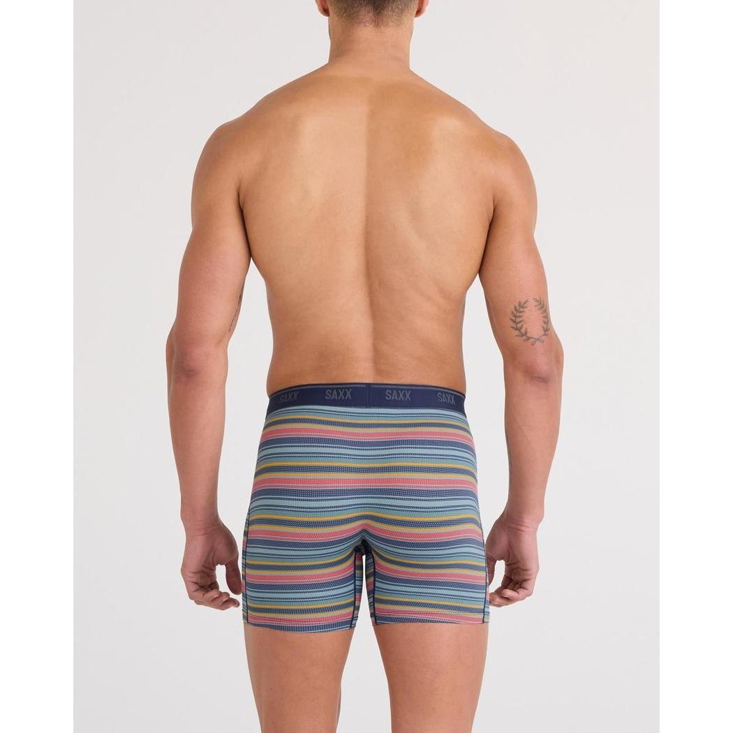 Back view of the SAXX Quest Quick-Dry Mesh Boxer Brief Fly 2pk - 6" in Harvest Stripe/Martime on a model against a white background.