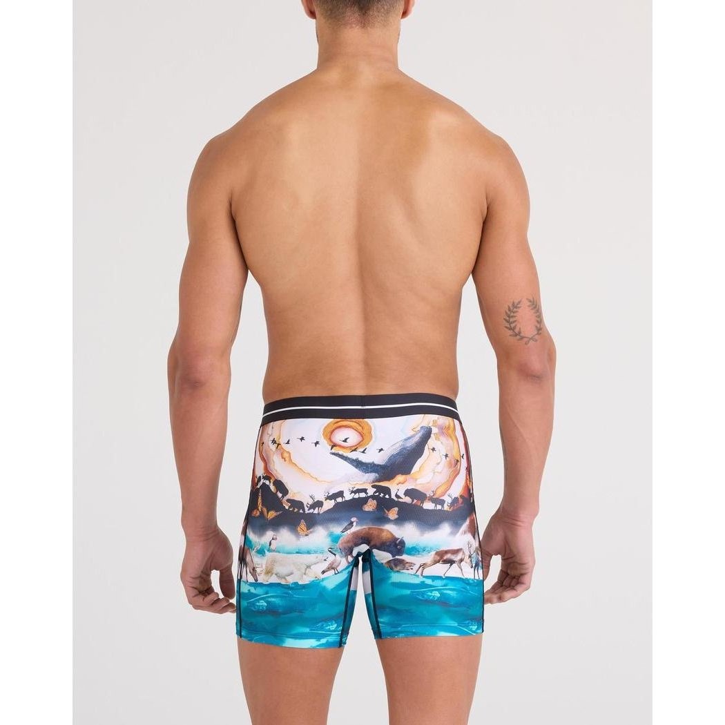 Back view of the SAXX Volt Breathable Mesh Boxer Brief - 6" in GreatMigrationM showing the ocean scene print on a model against a plain background.