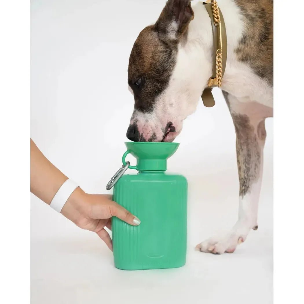 Springer Growler Dog Travel-Pets - Bowls-Appalachian Outfitters