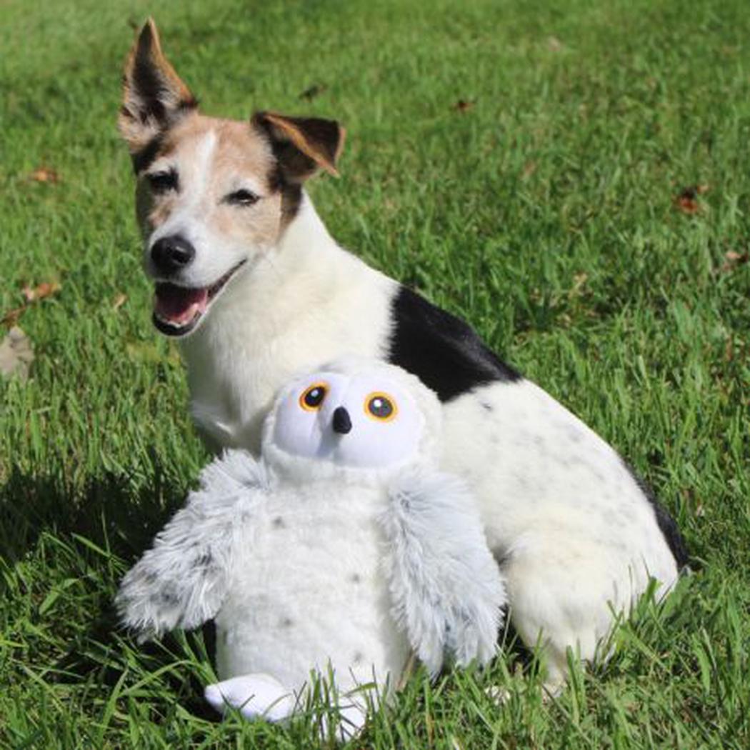 Tall Tails Animated Snow Owl Toy-Pets - Toys-Appalachian Outfitters