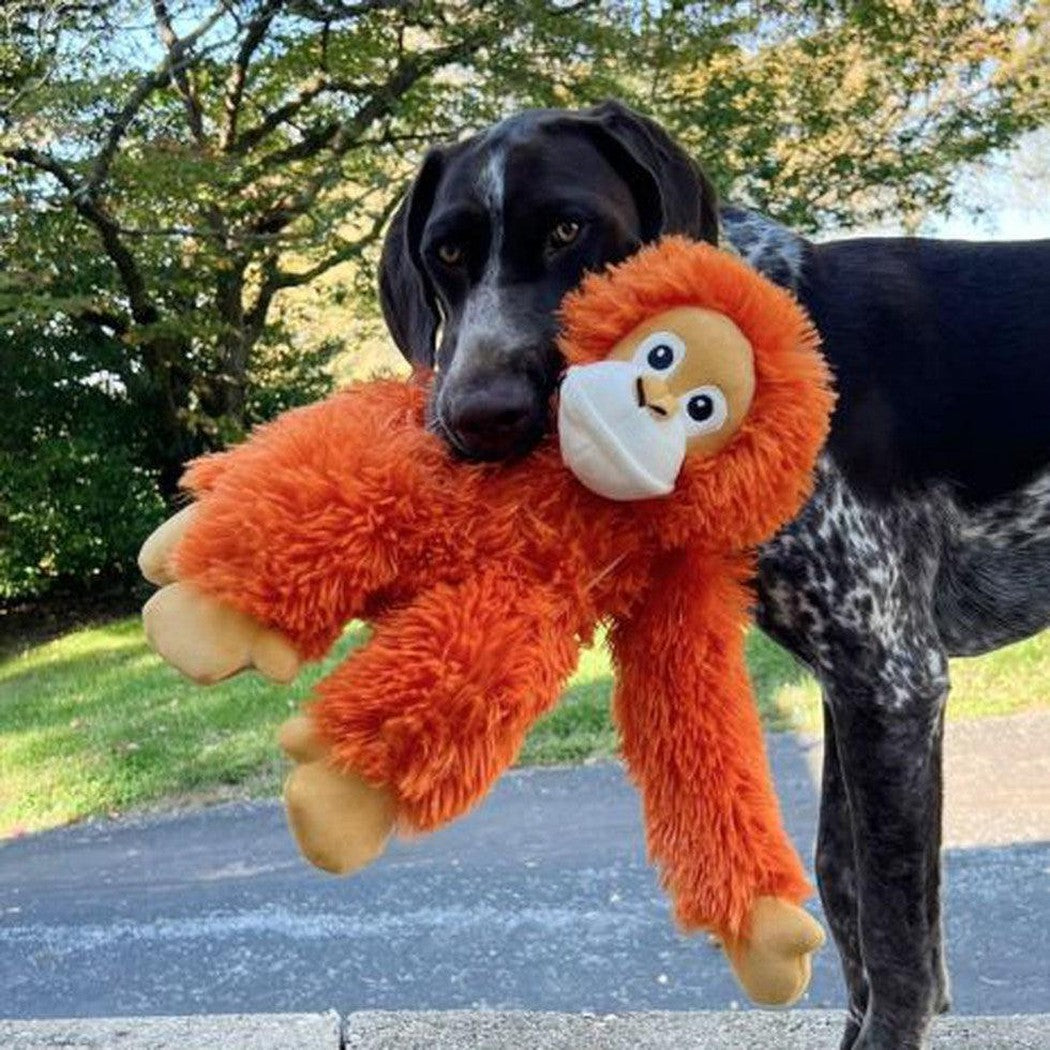A black dog holds the Tall Tails Rope Body Orangutan 14" toy in its mouth outdoors near trees and grass.