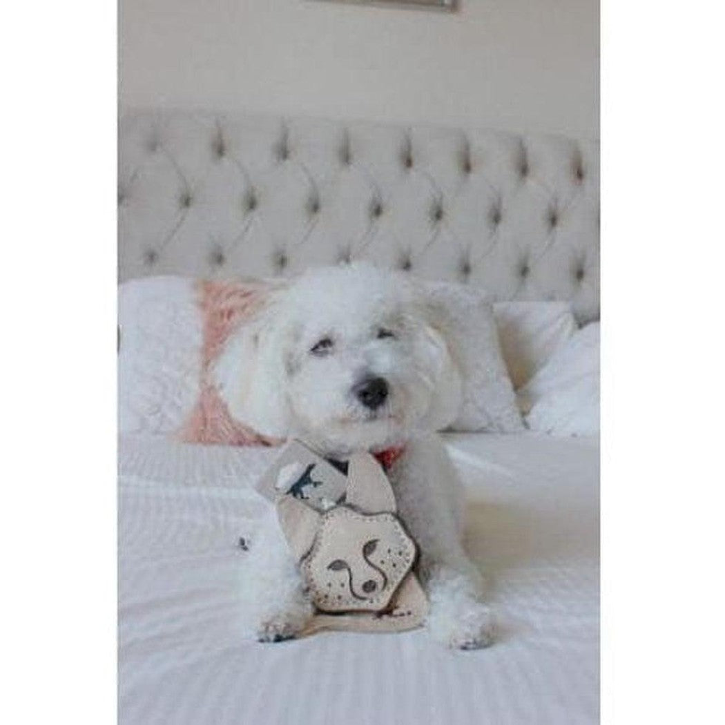 A white dog sits on a bed holding the Tall Tails Scrappy Fox Toy in front of it.
