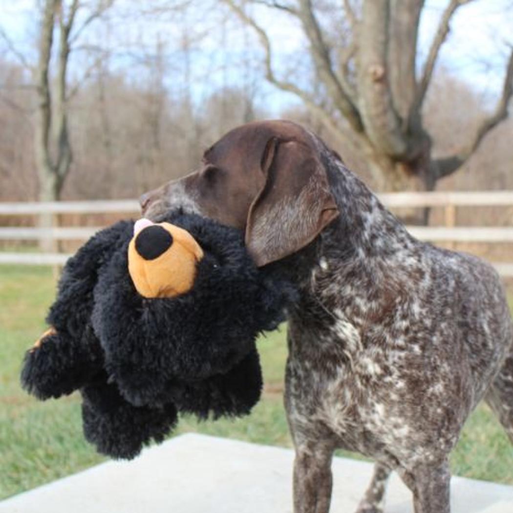 Tall Tails Stuffless Black Bear Squeaker Dog Toy-Pets - Toys-Appalachian Outfitters