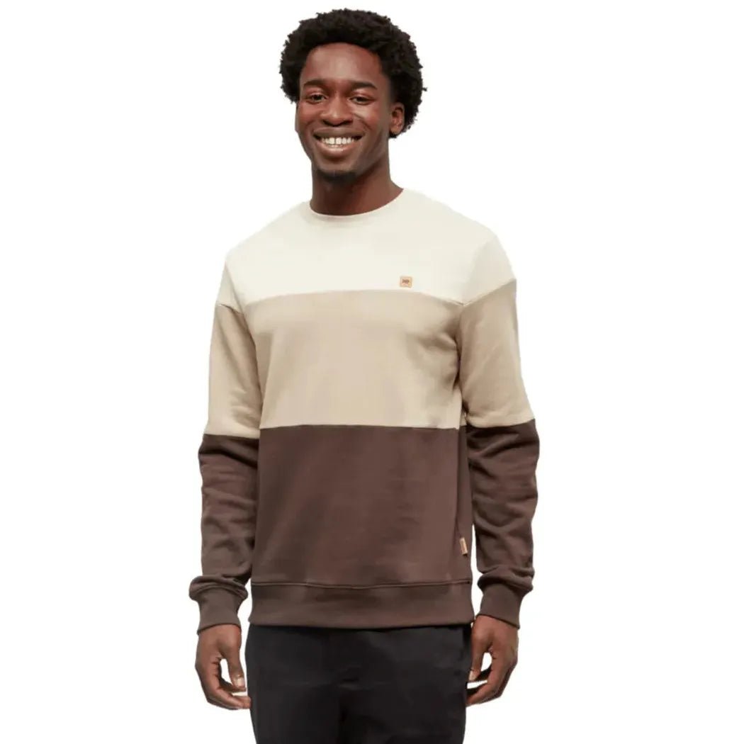 A front view of the Tentree Men's Blocked Reynard Crew in WaOakBirchwKona on a model against a white background.