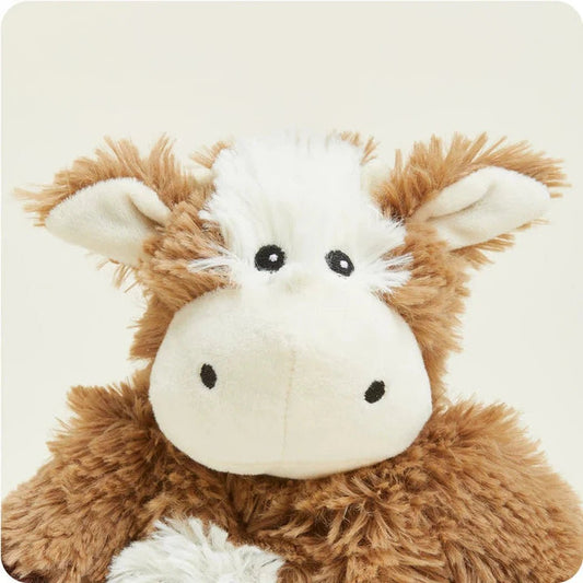 A close-up of the Warmies Cow plush toy with brown and white fur against a light background.