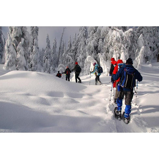 Crescent Moon Snowshoes-Appalachian Outfitters