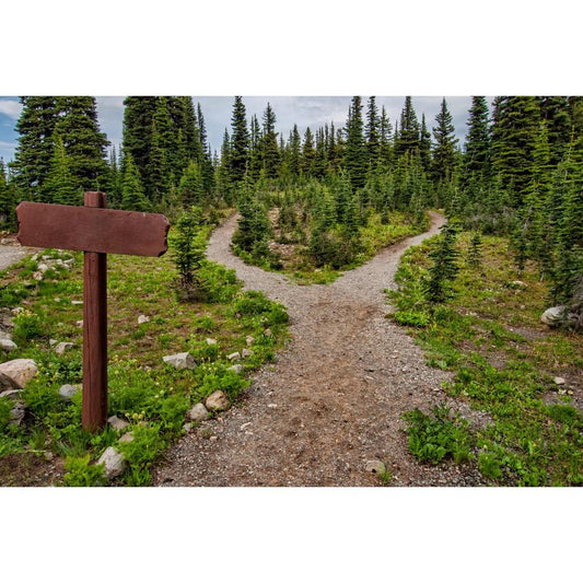 Top 10 Hiking Trails in the Appalachian Mountains-Appalachian Outfitters