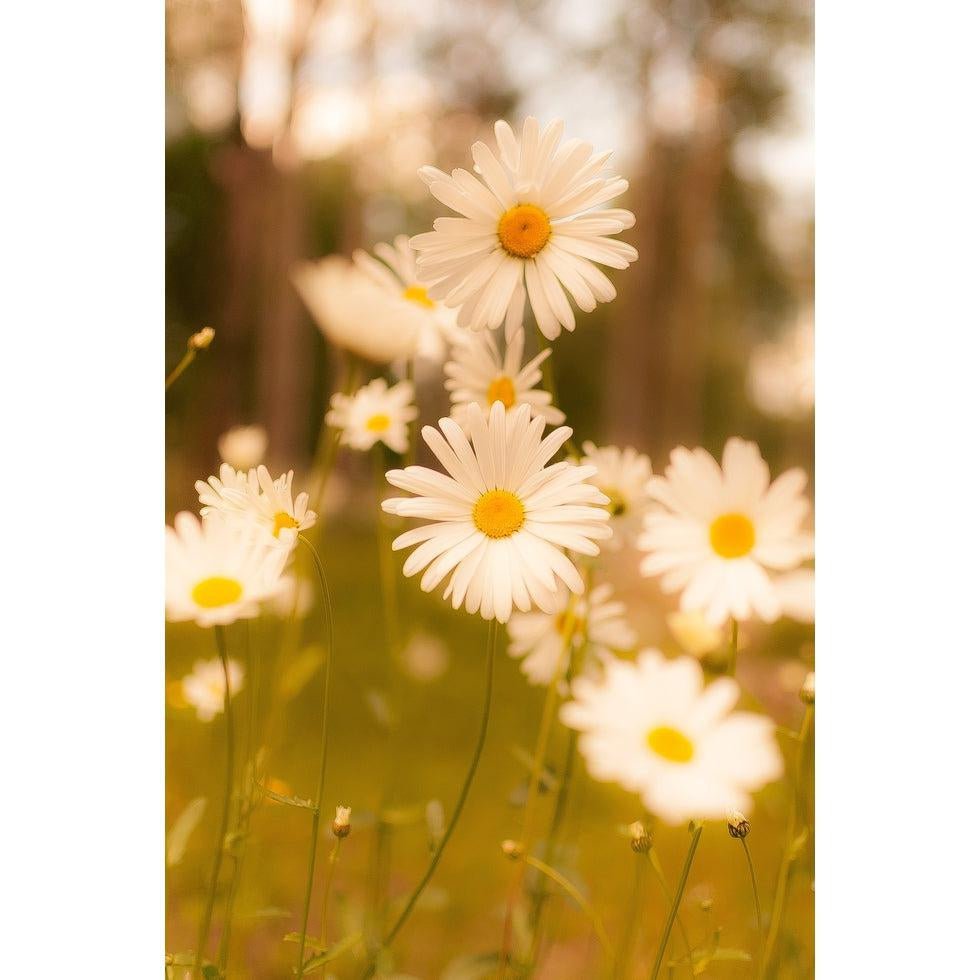 5 Ways to Stay Safe in the Sun-Appalachian Outfitters