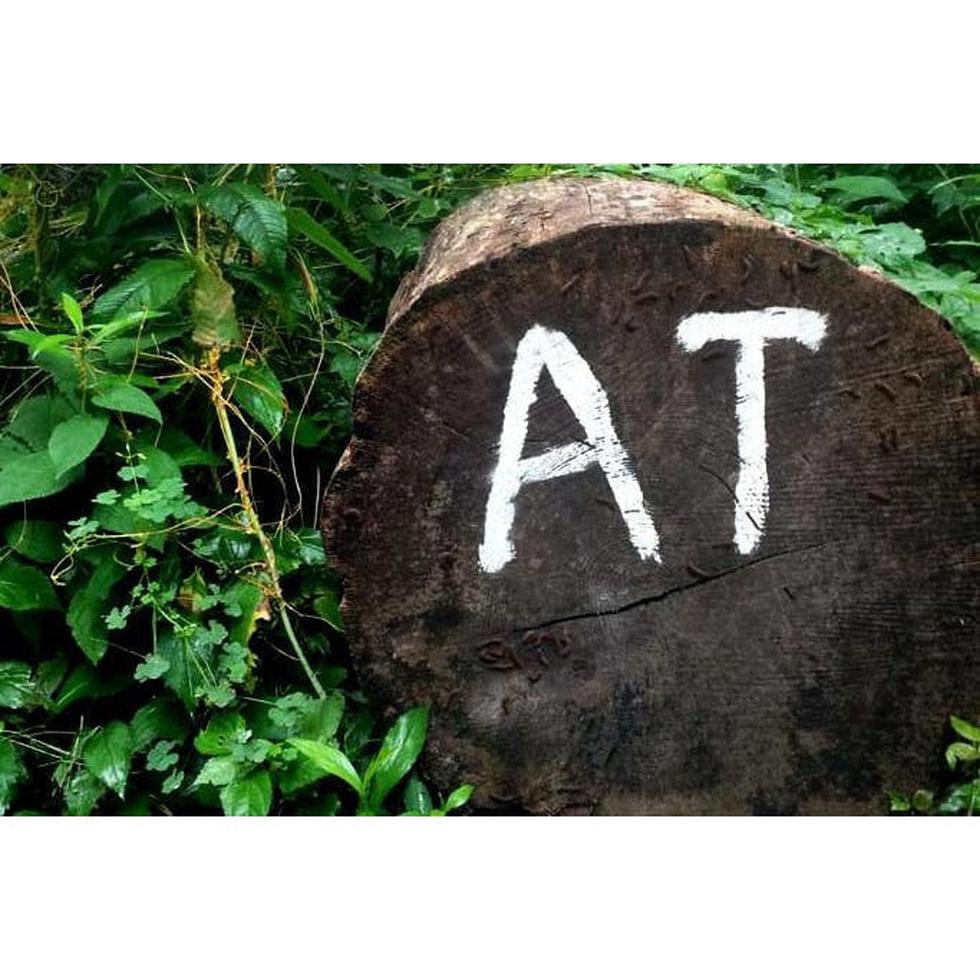 Tennessee Backpack Venture Crew-Appalachian Outfitters