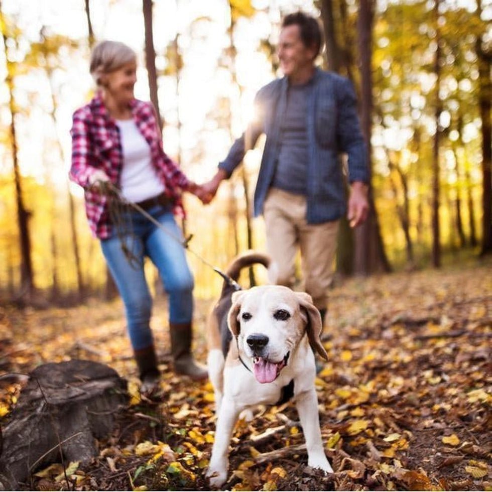 Explore the Best Fall Hiking Spots in Ohio-Appalachian Outfitters