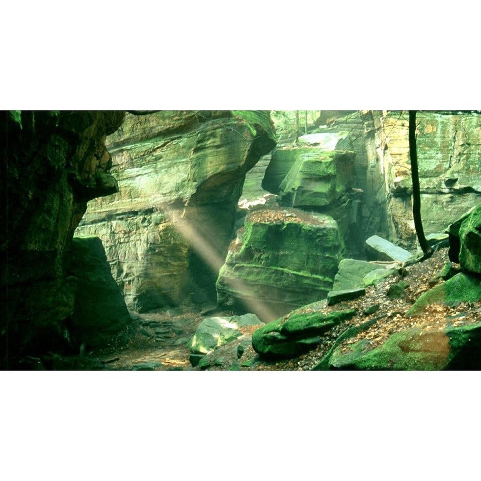 More Than Just A Hike: The Ledges Trail-Appalachian Outfitters