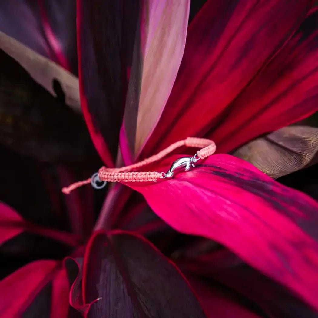 A close-up of the 4Ocean Adopt a Manatee Bracelet in Zelda color resting on a vibrant red and purple leaf.