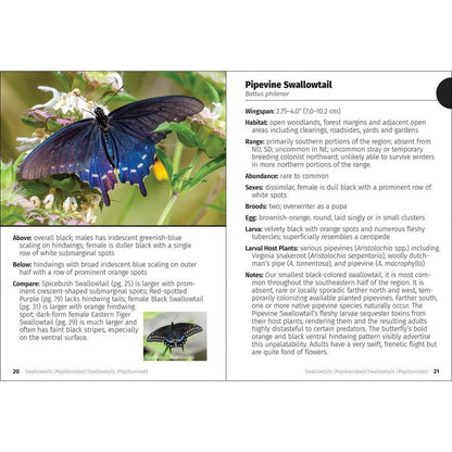 A photo of the AdventureKEEN Butterlies of the Midwest FG book showing the cover with a Pipevine Swallowtail butterfly on flowers.
