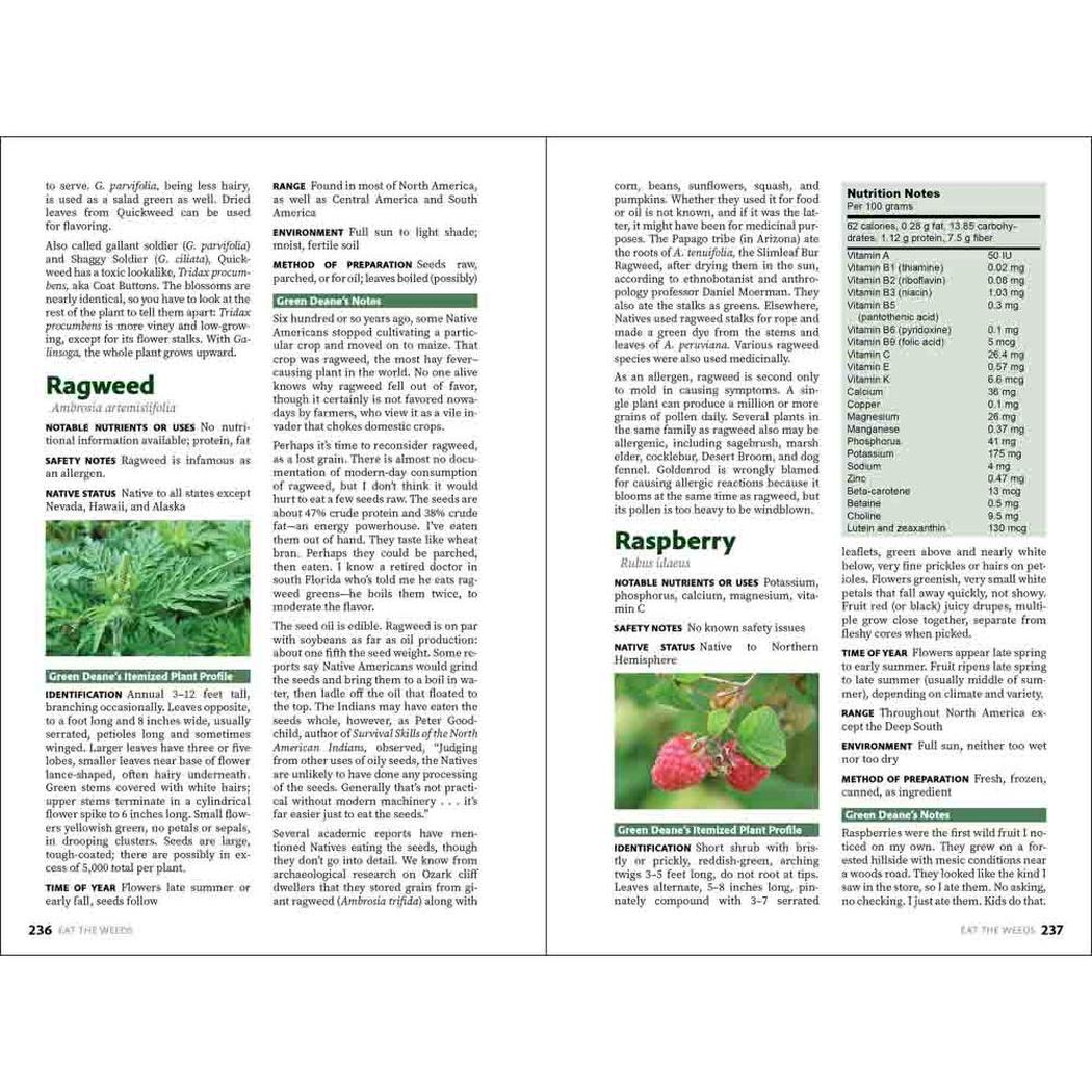 A spread from the AdventureKEEN Eat the Weeds book showing Ragweed and Raspberry pages with green text and plant images.