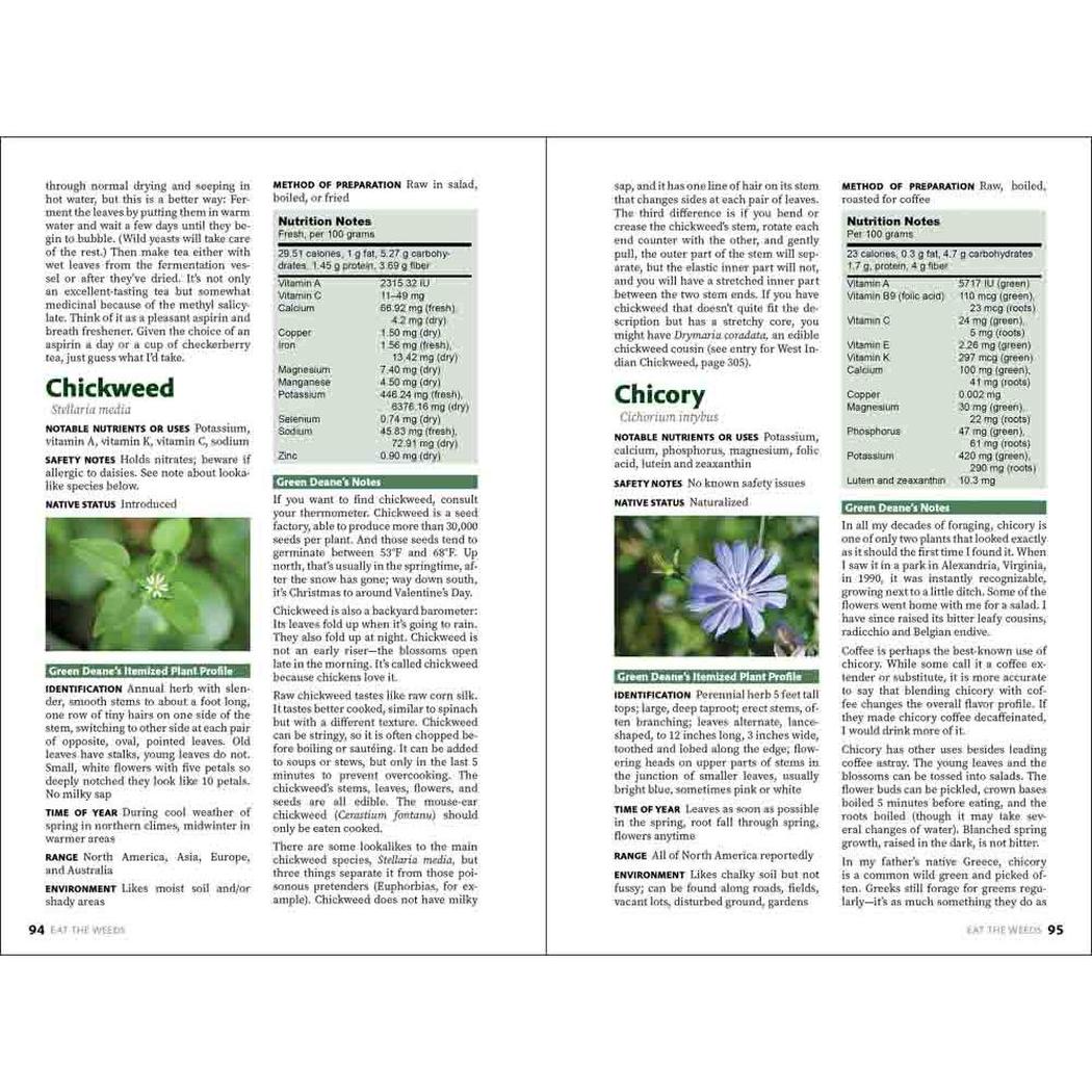 Two-page spread of the AdventureKEEN Eat the Weeds book showing Chickweed and Chicory pages with green photos.