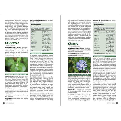 Two-page spread of the AdventureKEEN Eat the Weeds book showing Chickweed and Chicory pages with green photos.